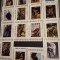 UMM AL QIWAIN, FAUNA - 16 MINICOLIȚE MNH IMPERF.