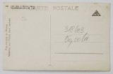 FOTOGRAF J. FISCHER , SIBIU , TARANCI DIN POIANA TORCAND LANA , CARTE POSTALA ILUSTRATA , INTERBELICA