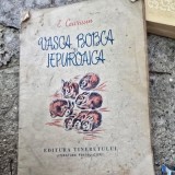 Vasca Bobca si iepuroaica - E. Cearusin