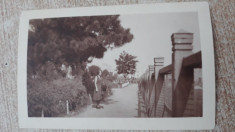 Foto Braila 1930. foto