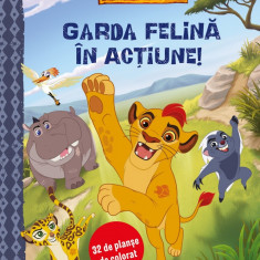 Garda felina in actiune. 32 de planse de colorat