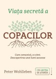 Viata secreta a copacilor - Peter Wohlleben - Editura Publica