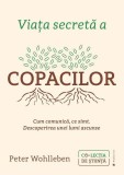 Viata secreta a copacilor