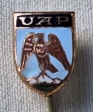 UAP uzina de automobile - Pitesti Dacia - insigna din anii 1970 ( Republica Socialista Romania)