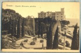 AD 522 C. P. VECHE - TRIESTE -CASTELLO MIRAMARE, GIARDINO -ITALIA