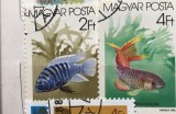 Timbre (Maghyar) Ungaria Serie Fauna pesti