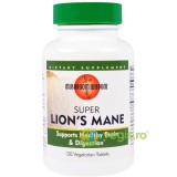 Super Lion&#039;s Mane 120cpr Secom,