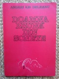 DOAMNA BRUNA DIN SONETE-ANDREI ION DELEANU