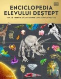 Enciclopedia elevului destept. Tot ce trebuie sa stii despre lumea din jurul tau/***, Litera