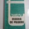 MOARA DE PULBERE (teatru) - DUMITRU RADU POPESCU
