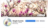 Pagina de facebook 330K