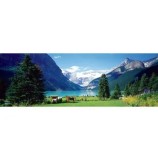 Cumpara ieftin Puzzle panoramic Eurographics - Lake Louise, Canadian Rockies, 1000 piese