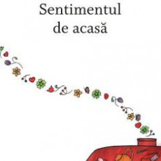 Sentimentul de acasa - Anselm Grun