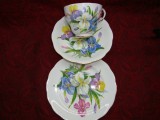 SET / SERVICIU MIC DEJUN DIN PORTELAN ROYAL STANDARD FINE BONE CHINA