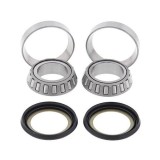 KIT RULMENTI DE JUG FURCA ALL BALLS RACING AB22-1002