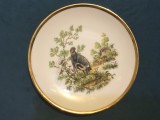 Farfurie decorativa peisaj montan cu Potarniche suvenir pentru a 5 editie a marsului international de drumetie peisagistica din Maisach anul 1980 !