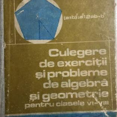 Culegere de exercitii si probleme de algebra si geometrie cls VI-VIII