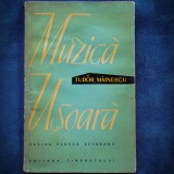 MUZICA USOARA - TUDOR MAINESCU