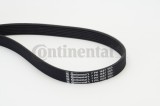 CONTINENTAL CTAM 7PK1687 Curea transmisie cu caneluri