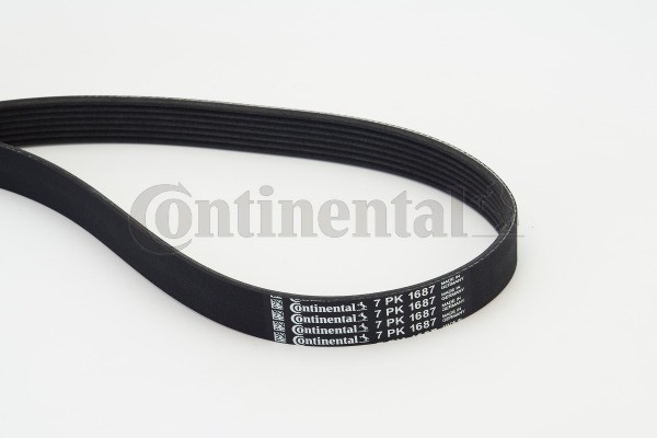 CONTINENTAL CTAM 7PK1687 Curea transmisie cu caneluri