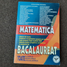 ANALIZA MATEMATICA - CATALIN PETRU NICOLESCU (PROBLEME PREGATITOARE PENTRU