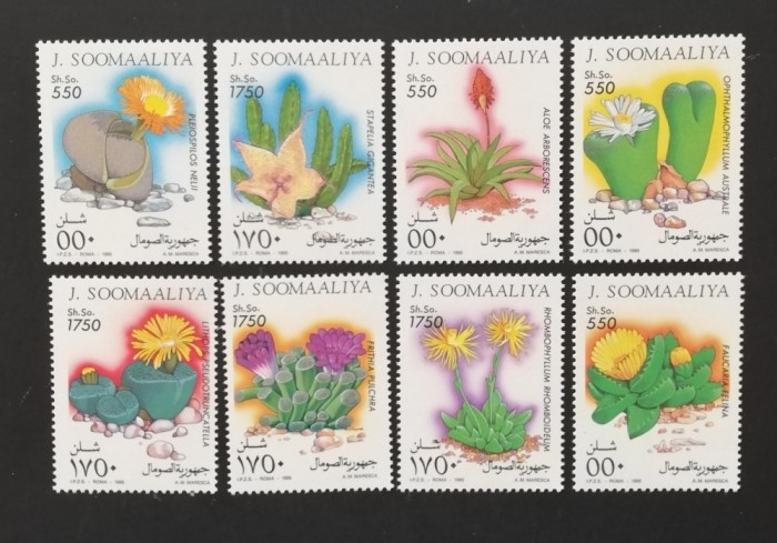 SOMALIA-1995-CACTUSII-Serie 8 V. MNH**SOM 145