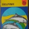 DELFINII-MODEST GUTU-229076