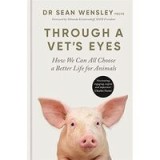 Through a Vet&#039;s Eyes