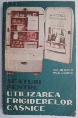 Sfaturi pentru utilizarea frigiderelor casnice &amp;ndash; Stelian Bucur, Radu Ciobanu foto