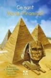 Cumpara ieftin Ce sunt Marile Piramide?/Dorothy Hoobler, Thomas Hoobler