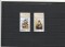 Foto  - 1
