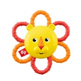 Fisher Price Jucarie Zornaitoare Safari Leu