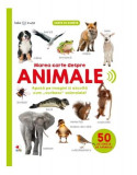 Marea carte despre animale &ndash; carte cu sunete - Hardcover - Litera mică