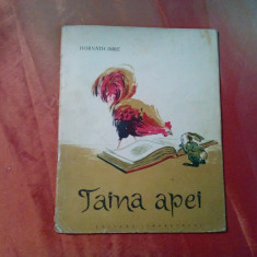 TAINA APEI - Horvath Imre - ILONA ADAM (ilustratii) - Tineretului, 1958