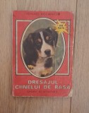 Torino bocaniciu - Dresajul cainelui de rasa
