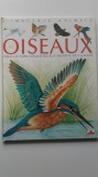 Les Oiseaux (L&#039;Imagerie animale) (5+1)5