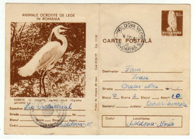 Carte postala EGRETE COD 0135/77 ANIMALE OCROTITE IN ROMANIA VERSO NOTE foto