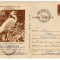 Carte postala EGRETE COD 0135/77 ANIMALE OCROTITE IN ROMANIA VERSO NOTE