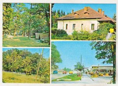 bnk cp Vanatori Neamt - Vedere - necirculata - marca fixa
