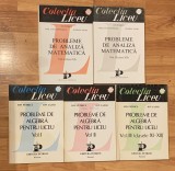 Probleme de algebra si analiza matematica de Ion Petrica (5 vol)