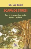 Cumpara ieftin Scapa de stres! Cum sa-ti recapeti controlul asupra vietii tale/dr. Luc Bodin