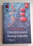 Cronica in piatra. Vremea nebuniei - Ismail Kadare