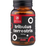 Tribulus Terrestris 500mg 90cps