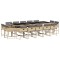 Set mobilier gradina cu perne, 15 piese, bej combinat poliratan