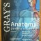 GRAY'S ANATOMY - pentru studenti - 2010