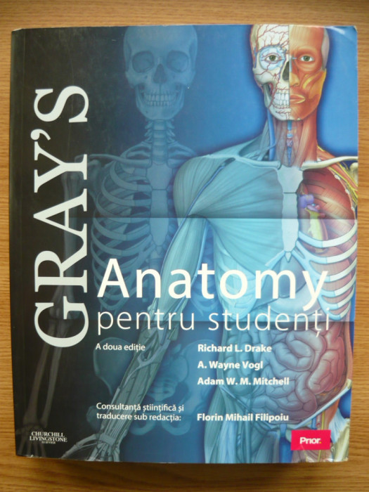 GRAY&#039;S ANATOMY - pentru studenti - 2010