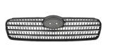 Grila radiator Hyundai Accent (Mc), 09.2006-01.2010, 400905-1 fara ornament