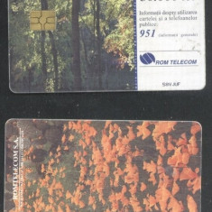 Romania 1999 Telephone card Field with poppies Rom 46 CT.082