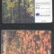 Romania 1999 Telephone card Field with poppies Rom 46 CT.082