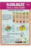 Biologie - Clasa 6 - Scheme si notiuni esentale - Silvia Olteanu, Camelia Manea, Iuliana Tanur